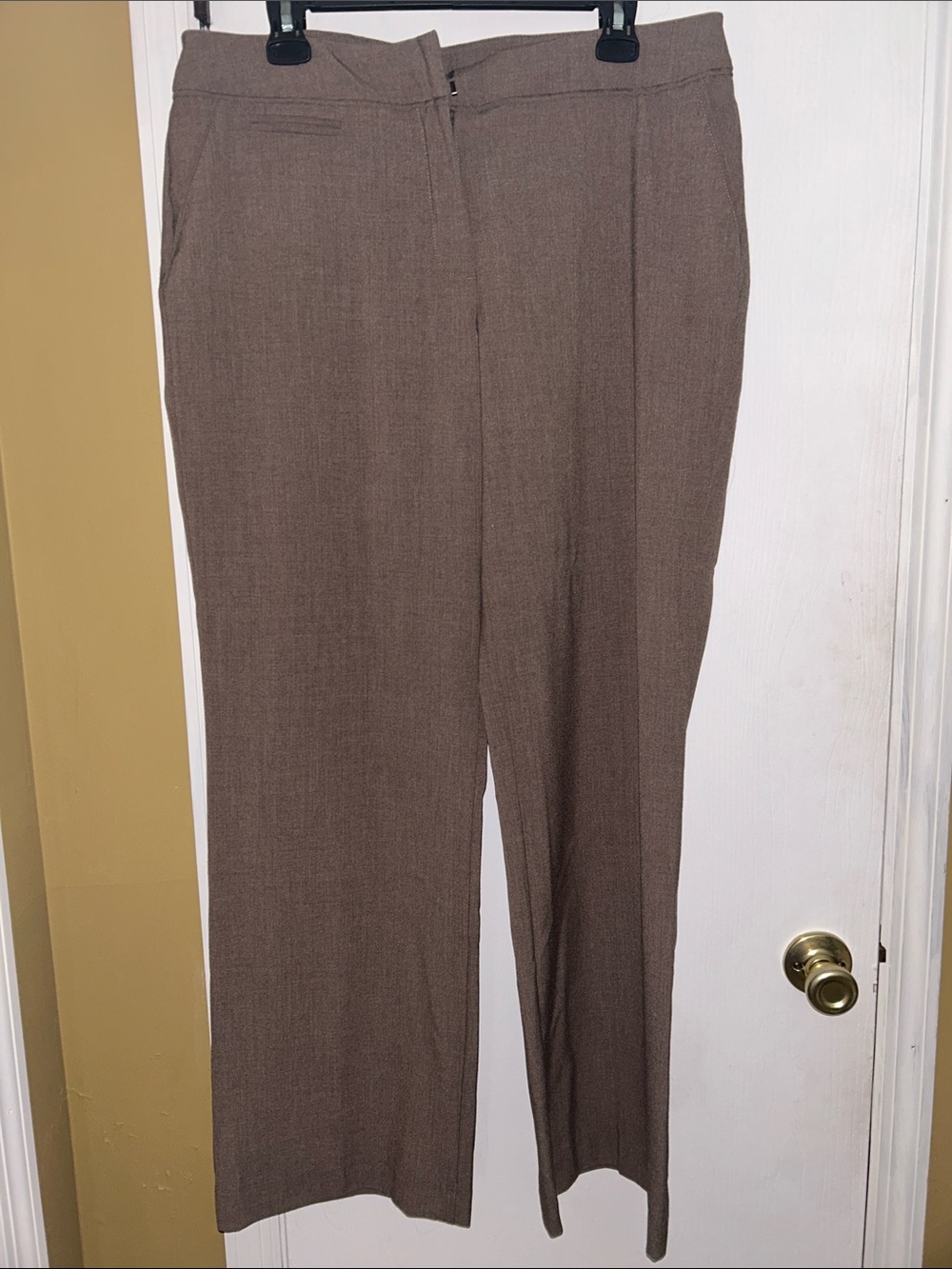 Studio Works Men's Dress Pants in Brown